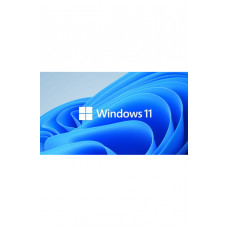  Windows 11 Pro Retail Key